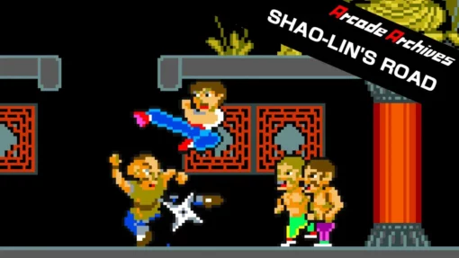 Arcade Archives Shao Lin's Road