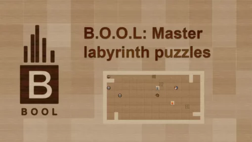 B.o.o.l Master Labyrinth Puzzles