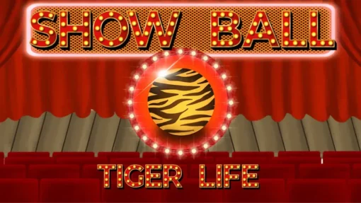 Show Ball Tiger Life