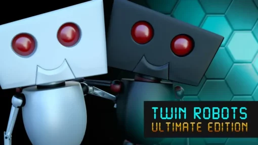 Twin Robots