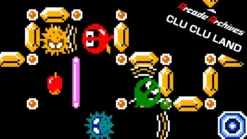 Arcade Archives Clu Clu Land