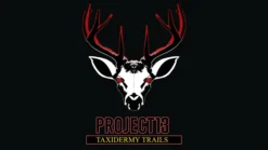 Project 13 Taxidermy Trails