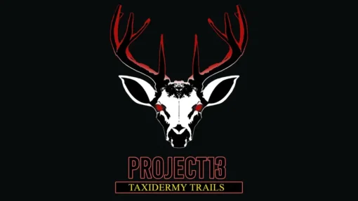 Project 13 Taxidermy Trails