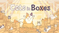 Cats In Boxes